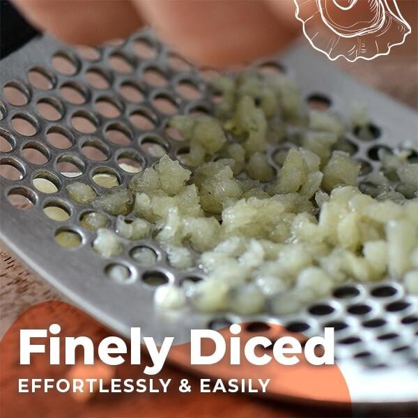 Best-Selling Garlic Presser 🧄Stainless Steel Presser for Every Kitchen