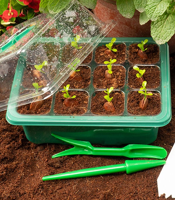 🌱 🎁 Final Day Sale-Adjustable Humidity Seed Starter Trays