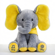 Gray +Yellow