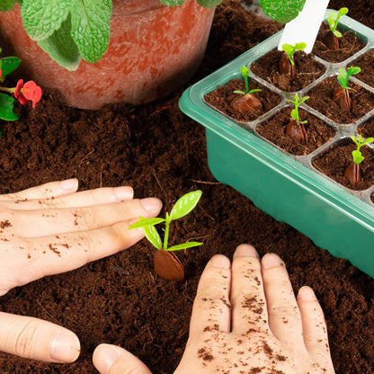 🌱 🎁 Final Day Sale-Adjustable Humidity Seed Starter Trays