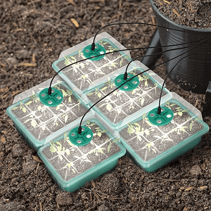 🌱 🎁 Final Day Sale-Adjustable Humidity Seed Starter Trays