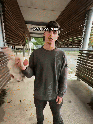 Hugzy - Jumpy calf with people in an everyday outdoor scene
